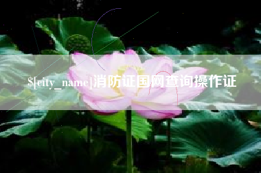朔州消防证国网查询操作证