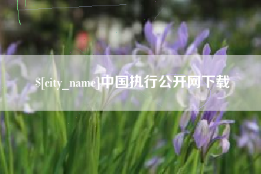 朔州中国执行公开网下载
