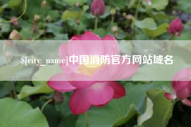 朔州中国消防官方网站域名