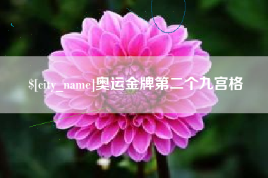 朔州奥运金牌第二个九宫格