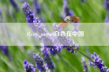 朔州白色在中国