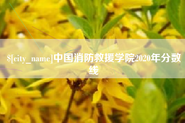 朔州中国消防救援学院2020年分数线