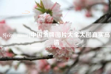 朔州中国金牌图片大全大图真实高清