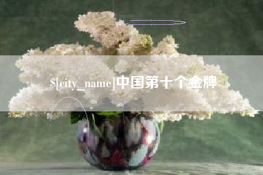 朔州中国第十个金牌