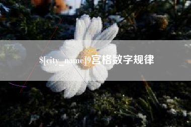 朔州9宫格数字规律