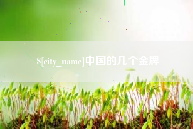 朔州中国的几个金牌
