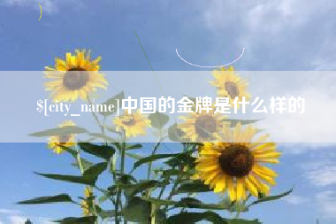 朔州中国的金牌是什么样的