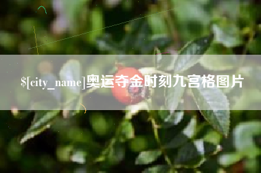 朔州奥运夺金时刻九宫格图片