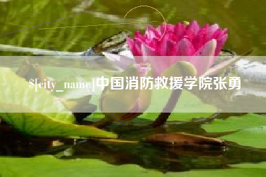 朔州中国消防救援学院张勇