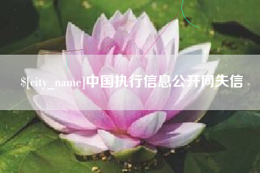 朔州中国执行信息公开网失信