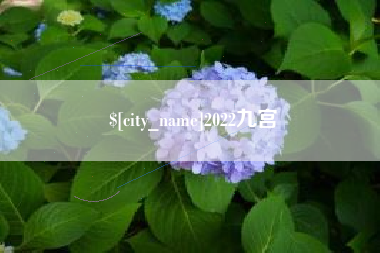 朔州2022九宫