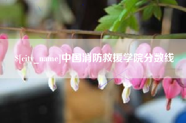 朔州中国消防救援学院分数线