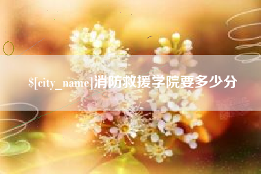 朔州消防救援学院要多少分
