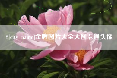 朔州金牌图片大全大图卡通头像