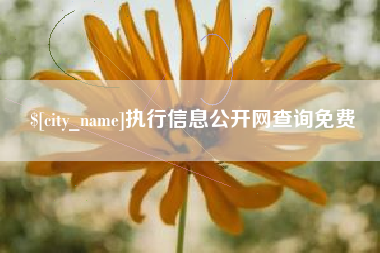 朔州执行信息公开网查询免费
