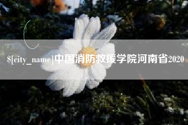 朔州中国消防救援学院河南省2020