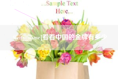 朔州看看中国的金牌有多少